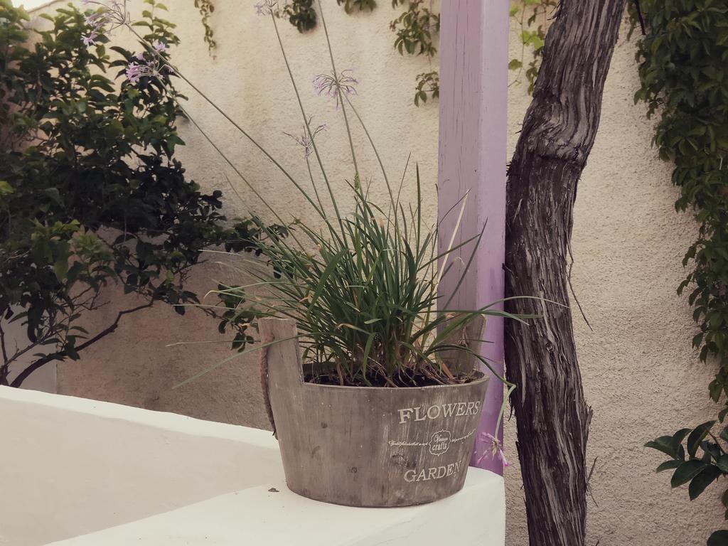 Margo Antiparos Apartment Exterior foto
