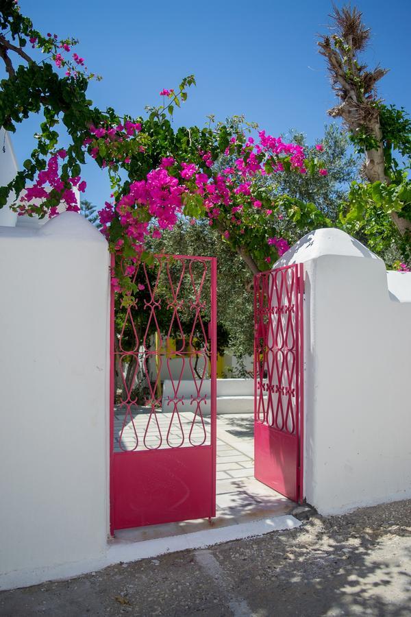 Margo Antiparos Apartment Exterior foto
